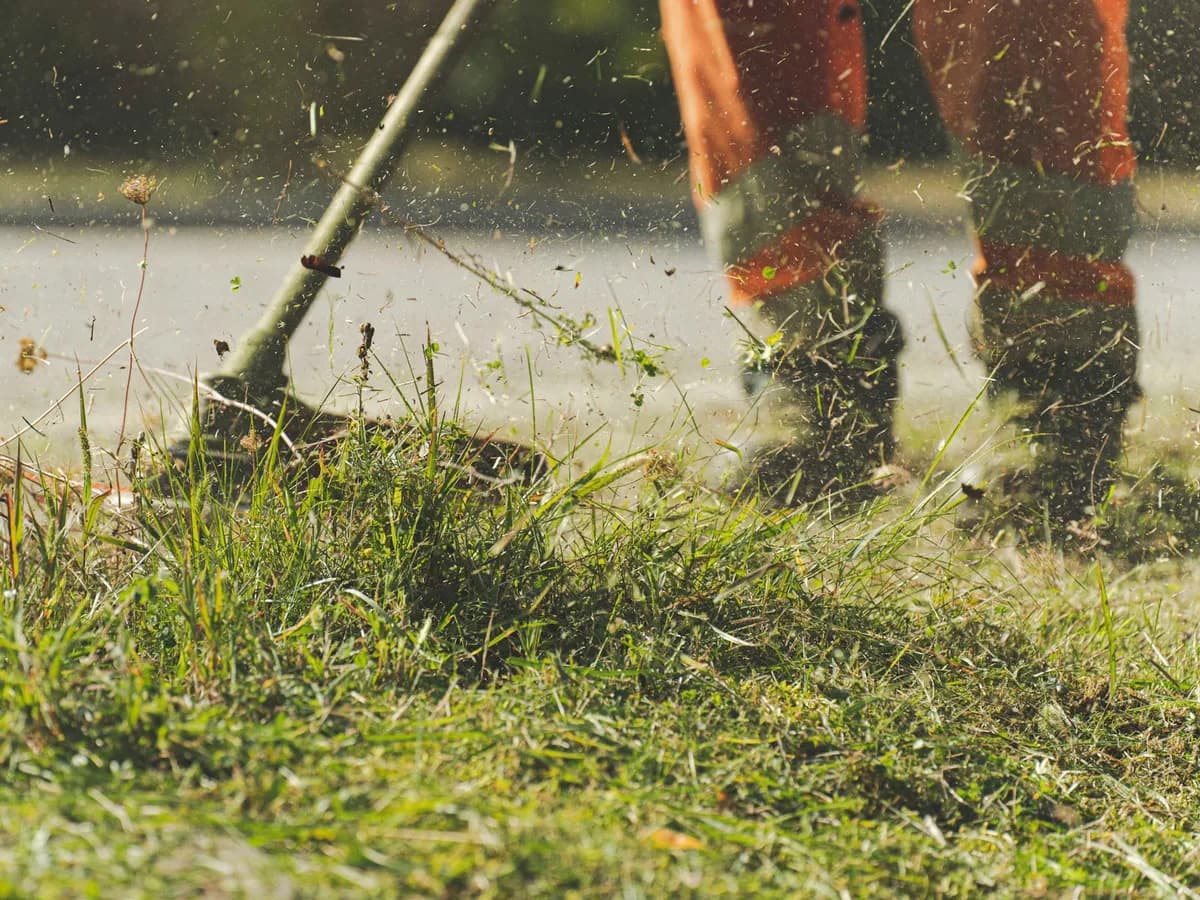 Landscaping professional trimming a residential lawn